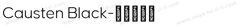 Causten Black字体转换